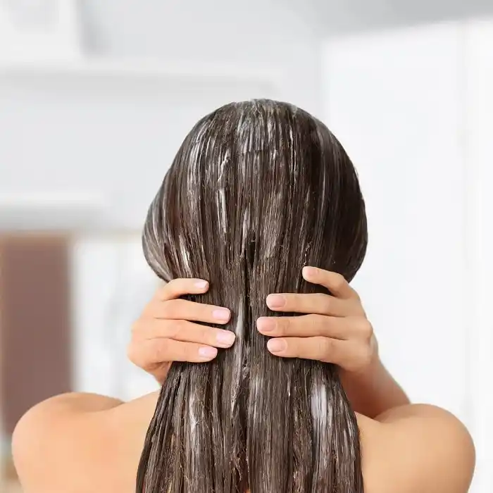 Best Homemade Hair Conditioners